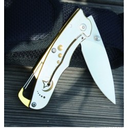 Enlan M05GD EDC Folding Knife [Stainless Steel Handle, Frame Lock, Drop point, Fine Edge]