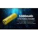 Nitecore DL30 100mts Diving Flashlight for Underwater Sport with White Outputs (1100 Lumens, 1x21700)