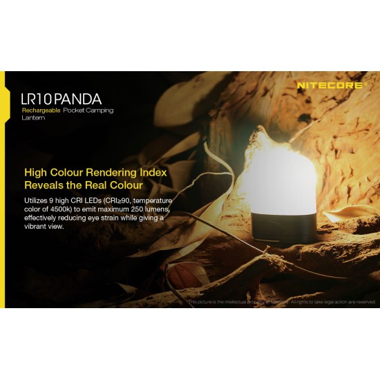 Nitecore LR10 Panda Limited Edition USB Rechargeable Pocket Lantern with Magnetic Tail, Hook (250 Lumens, Inbuilt Battery)